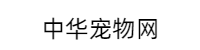 中华宠物网
